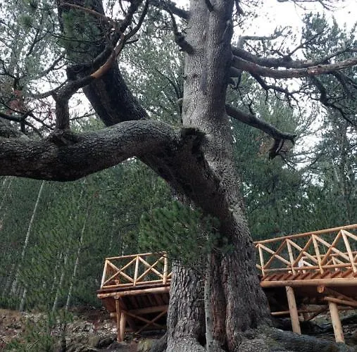 500м. от лифта сладък дом в белведере комплекс 4* Банско