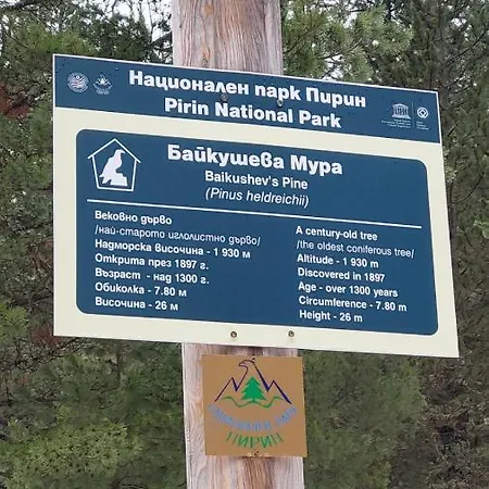 500м. от лифта сладък дом в белведере комплекс